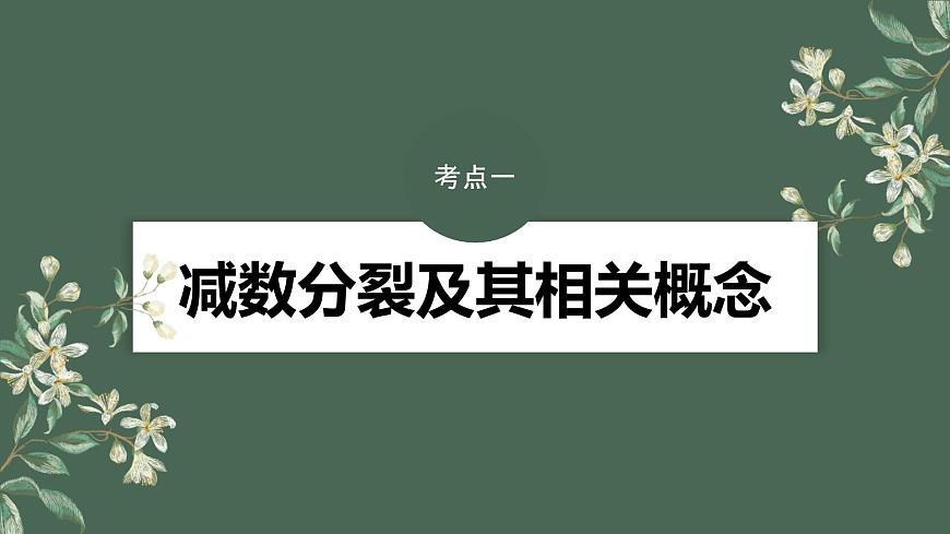 最新高考生物一輪復(fù)習(xí)課件（新人教版） 第4單元　第3課時(shí)　減數(shù)分裂和受精作用第6頁(yè)