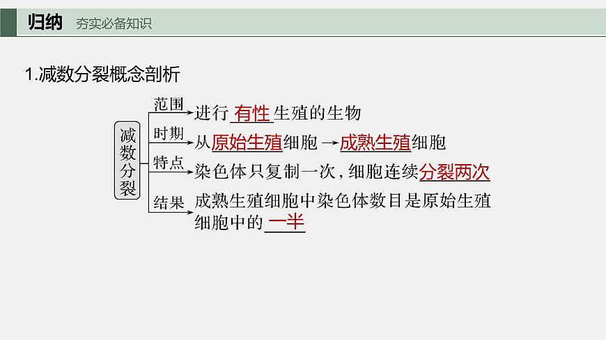 最新高考生物一輪復(fù)習(xí)課件（新人教版） 第4單元　第3課時(shí)　減數(shù)分裂和受精作用第7頁(yè)