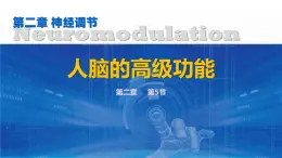 人教版2019高中生物选择性必修1课件2-5人脑的高级功能(新教材有限版)