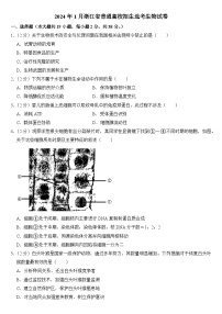 2024年1月浙江省普通高校招生选考生物试卷附答案