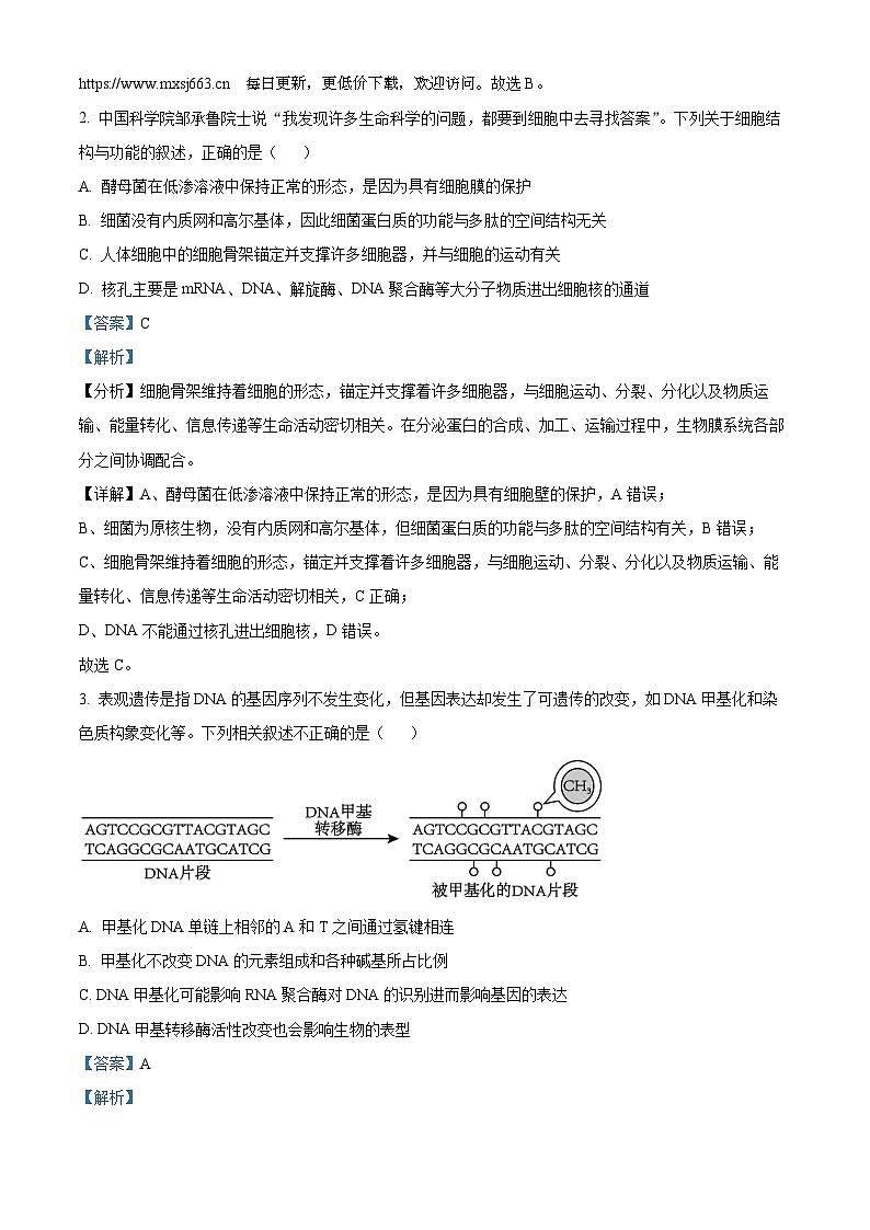湖南省衡阳市祁东县2023-2024学年高考考前仿真联考三生物试卷第2页