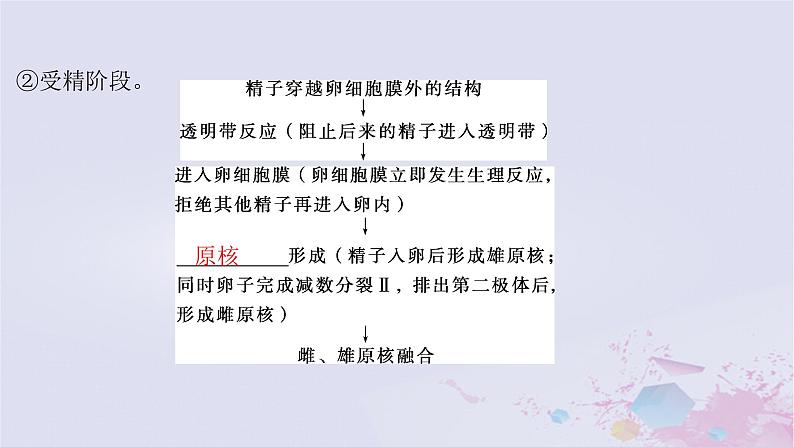2025届高考生物一轮总复习选择性必修3第十单元生物技术与工程第50讲胚胎工程课件第7页