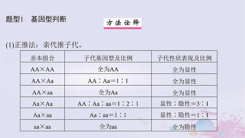2025届高考生物一轮总复习必修2第五单元遗传的基本规律伴性遗传与人类遗传病第20讲分离定律的基础题型突破课件第2页