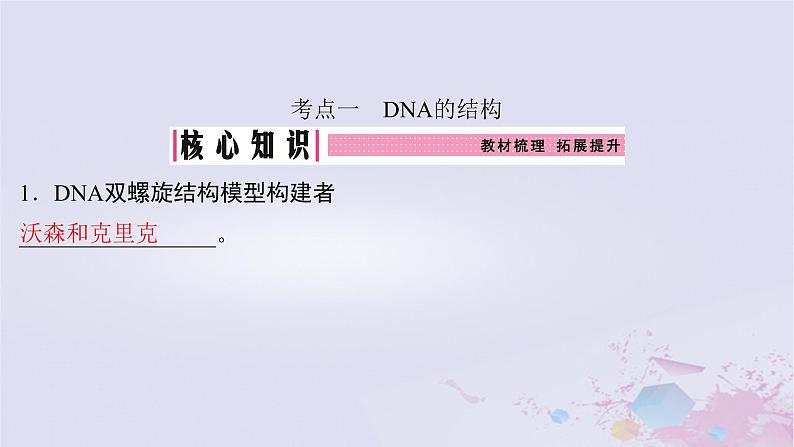 2025届高考生物一轮总复习必修2第六单元遗传的物质基础第28讲DNA的结构复制及基因的本质课件第4页
