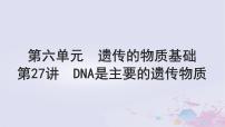 2025届高考生物一轮总复习必修2第六单元遗传的物质基础第27讲DNA是主要的遗传物质课件
