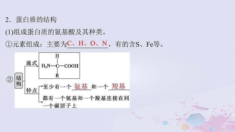 2025届高考生物一轮总复习必修1第一单元细胞及其分子组成第3讲蛋白质和核酸课件第5页