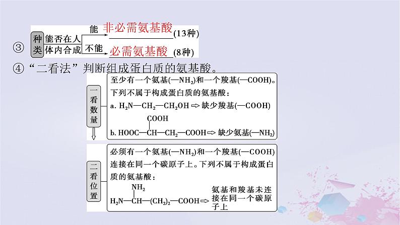 2025届高考生物一轮总复习必修1第一单元细胞及其分子组成第3讲蛋白质和核酸课件第6页
