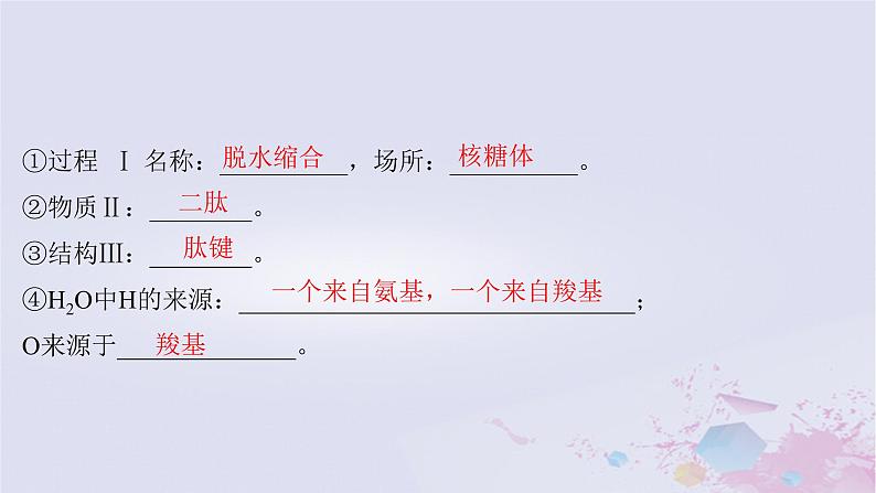 2025届高考生物一轮总复习必修1第一单元细胞及其分子组成第3讲蛋白质和核酸课件第8页