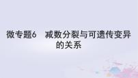 2025届高考生物一轮总复习必修1第四单元细胞的生命历程微专题6减数分裂与可遗传变异的关系课件