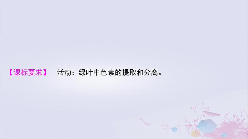 2025届高考生物一轮总复习必修1第三单元细胞的能量供应和利用第12讲捕获光能的色素和结构课件第2页