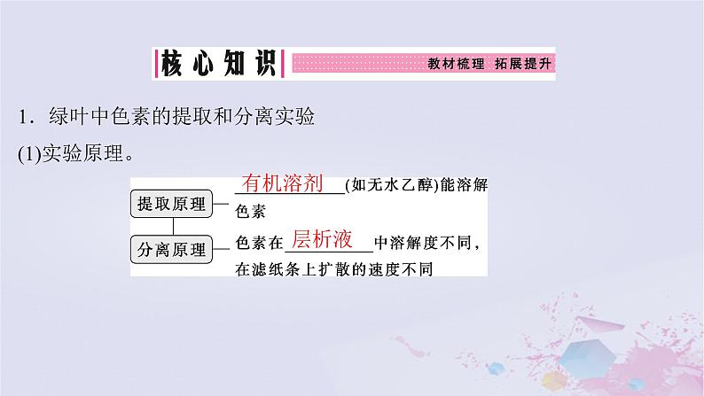 2025届高考生物一轮总复习必修1第三单元细胞的能量供应和利用第12讲捕获光能的色素和结构课件第3页