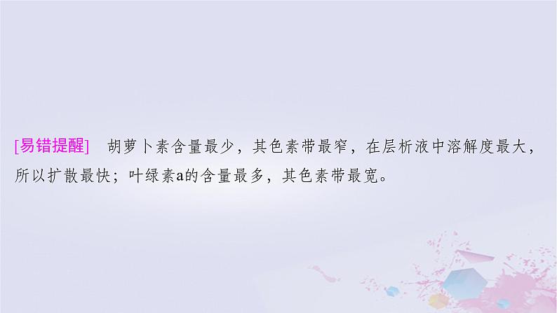 2025届高考生物一轮总复习必修1第三单元细胞的能量供应和利用第12讲捕获光能的色素和结构课件第5页