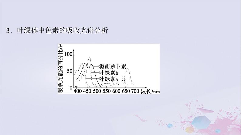 2025届高考生物一轮总复习必修1第三单元细胞的能量供应和利用第12讲捕获光能的色素和结构课件第8页