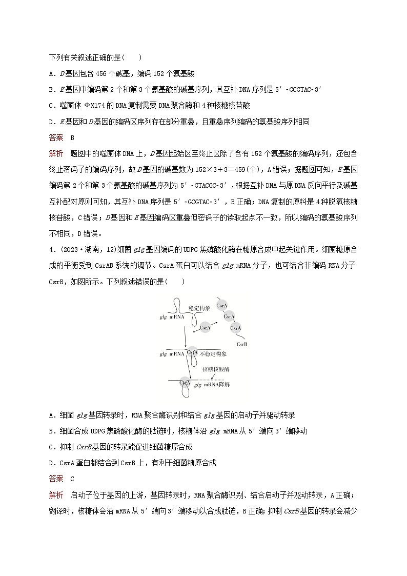 新教材2024届高考生物考前冲刺刷题第1部分专题训练专题5遗传的分子基础生物的变异与进化第2页