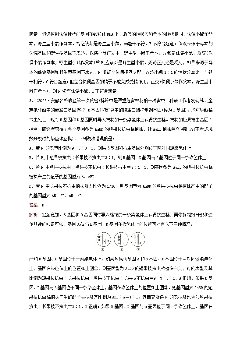 新教材2024届高考生物考前冲刺刷题第1部分专题训练专题4遗传的基本规律二02
