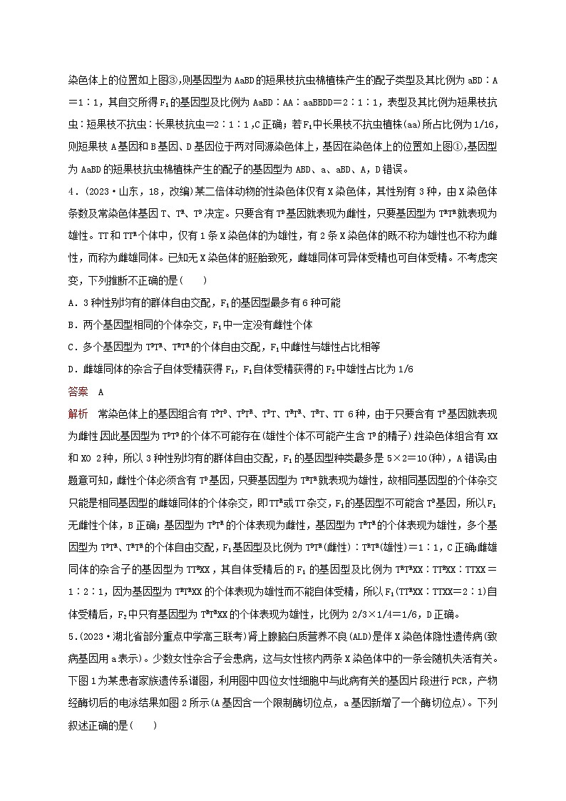 新教材2024届高考生物考前冲刺刷题第1部分专题训练专题4遗传的基本规律二03