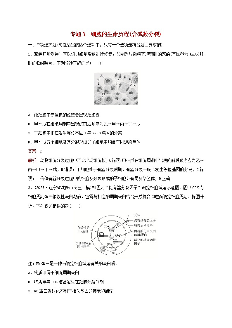 新教材2024届高考生物考前冲刺刷题第1部分专题训练专题3细胞的生命历程含减数分裂第1页