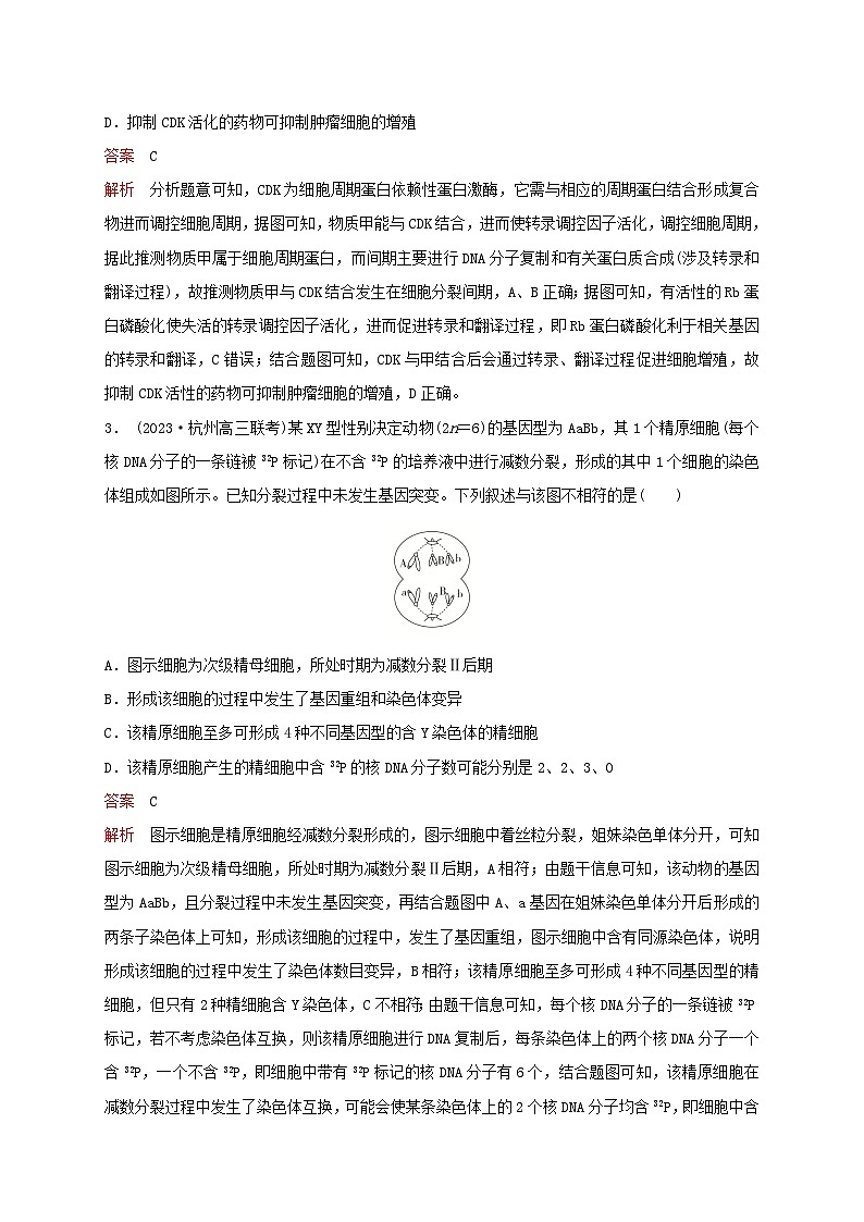 新教材2024届高考生物考前冲刺刷题第1部分专题训练专题3细胞的生命历程含减数分裂第2页