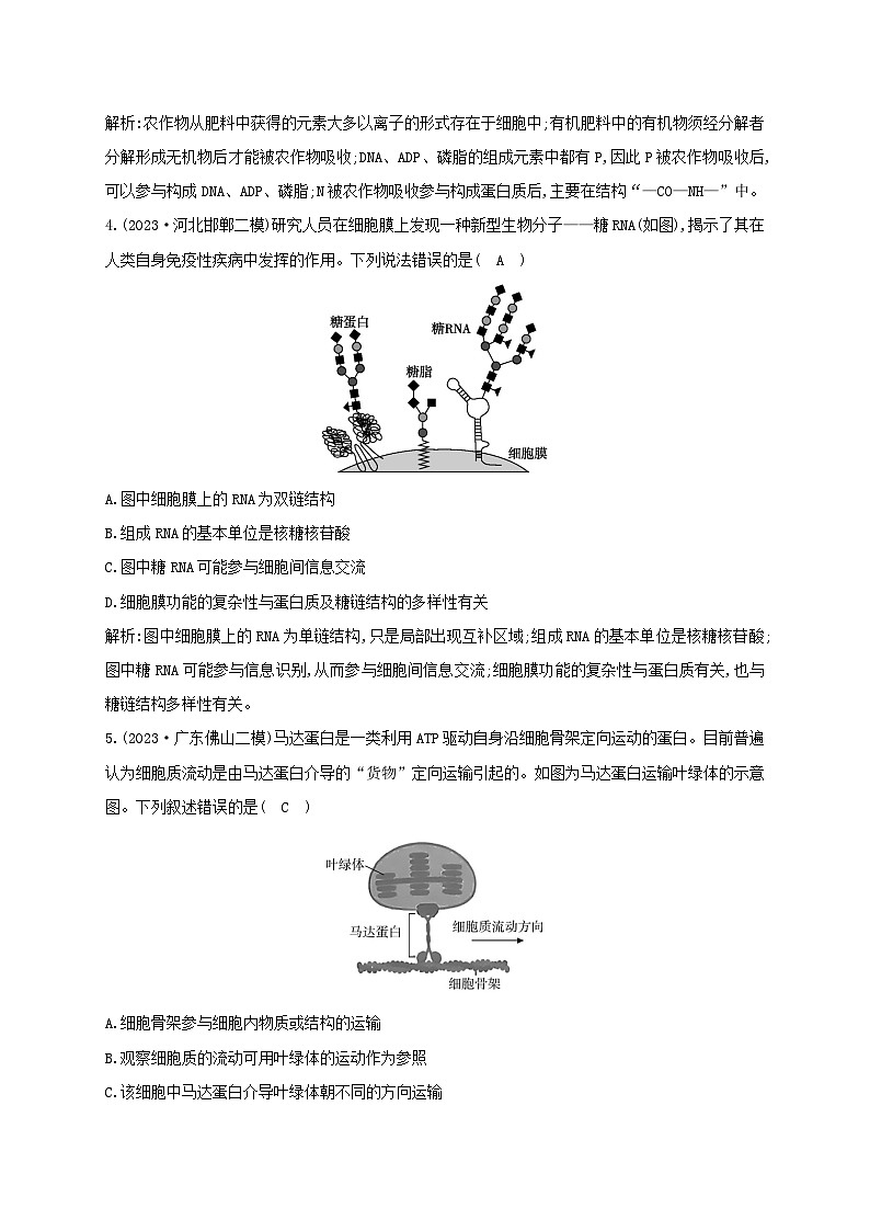 2024届高考生物考前冲刺第1篇专题素能提升专题综合限时练1细胞第2页