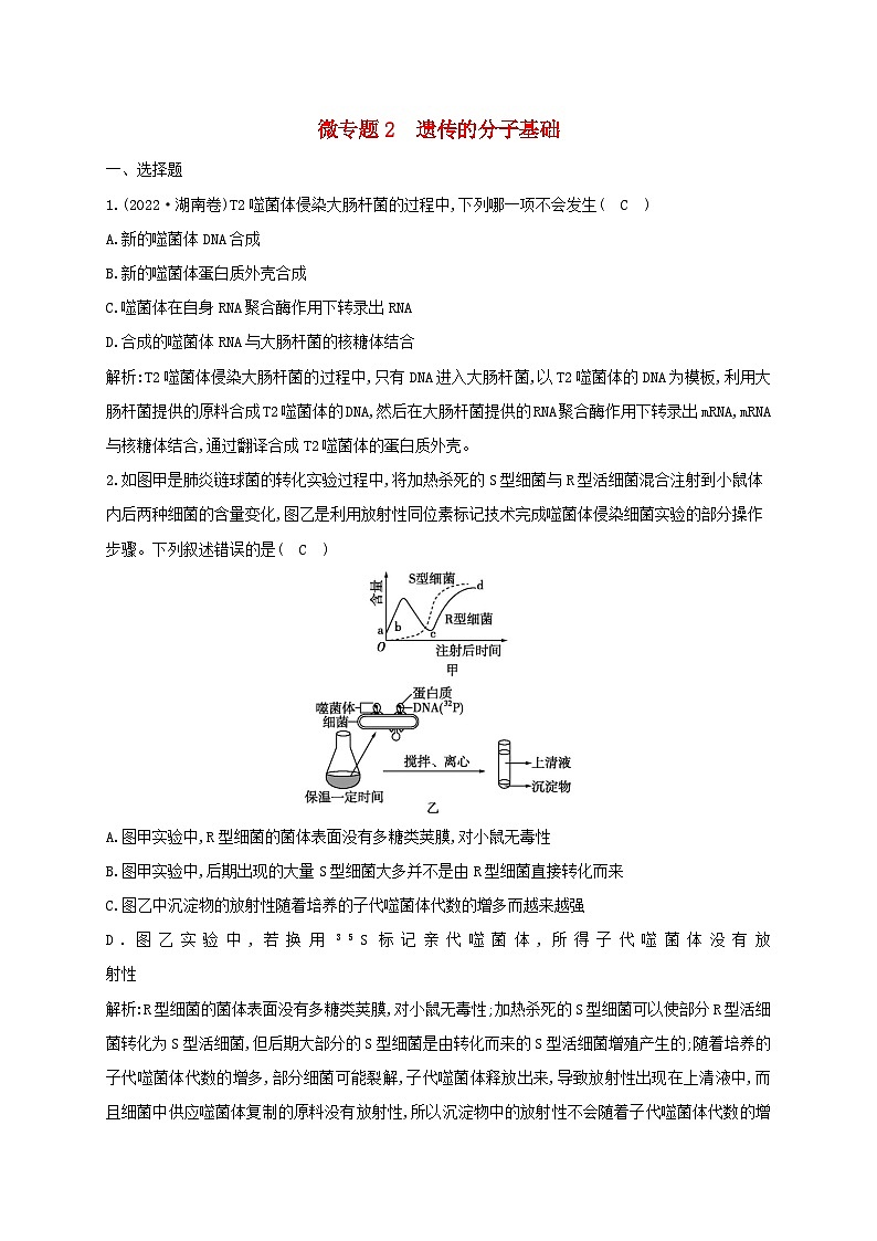 2024届高考生物考前冲刺第1篇专题素能提升专题3遗传微专题突破练2遗传的分子基础01