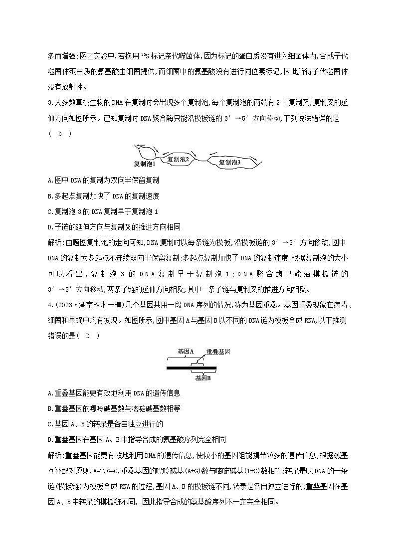 2024届高考生物考前冲刺第1篇专题素能提升专题3遗传微专题突破练2遗传的分子基础02