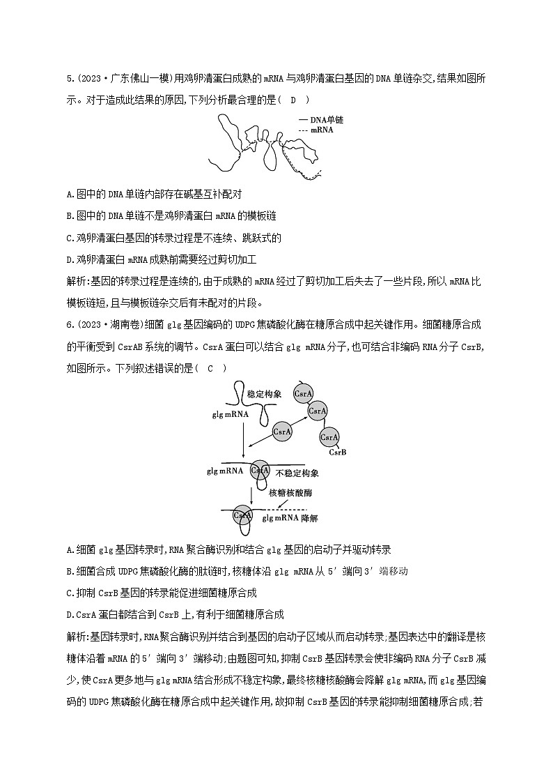 2024届高考生物考前冲刺第1篇专题素能提升专题3遗传微专题突破练2遗传的分子基础03