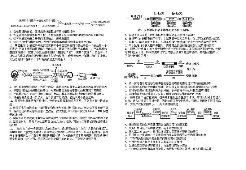山东省淄博市淄博中学2023-2024学年高二下学期期中考试生物试题(Word版附答案)02