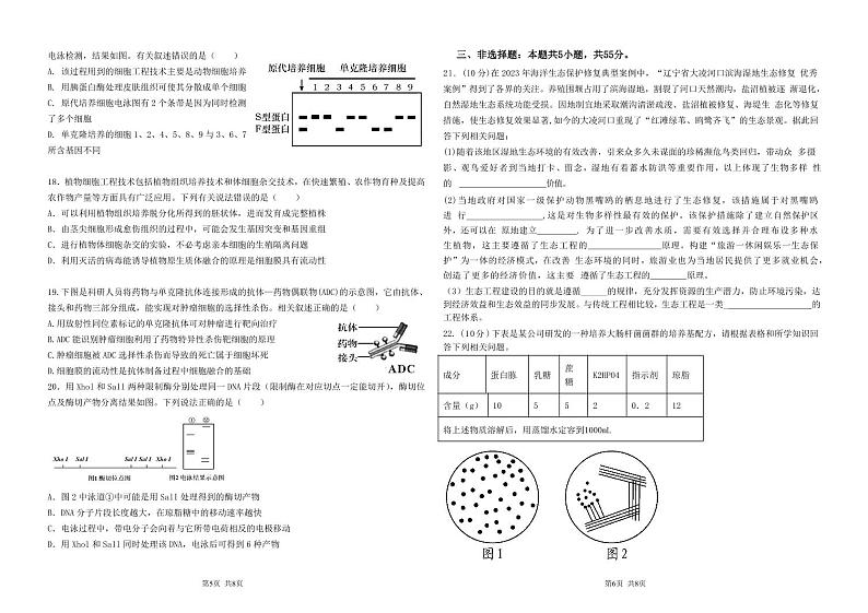 黑龙江省大庆中学2023-2024学年高二下学期5月期中考试生物试题(PDF版附答案)第3页