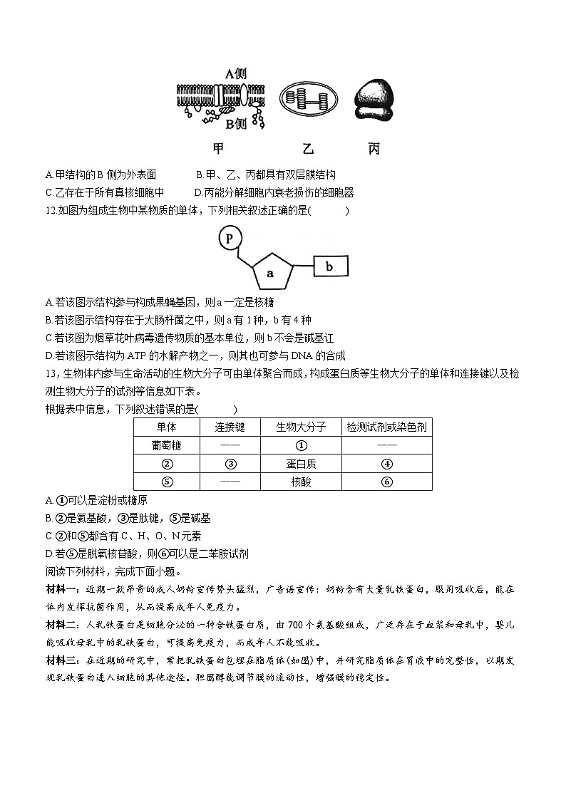 天津市北辰区第四十七中学2023-2024学年高二下学期6月月考生物试题(含答案)第3页