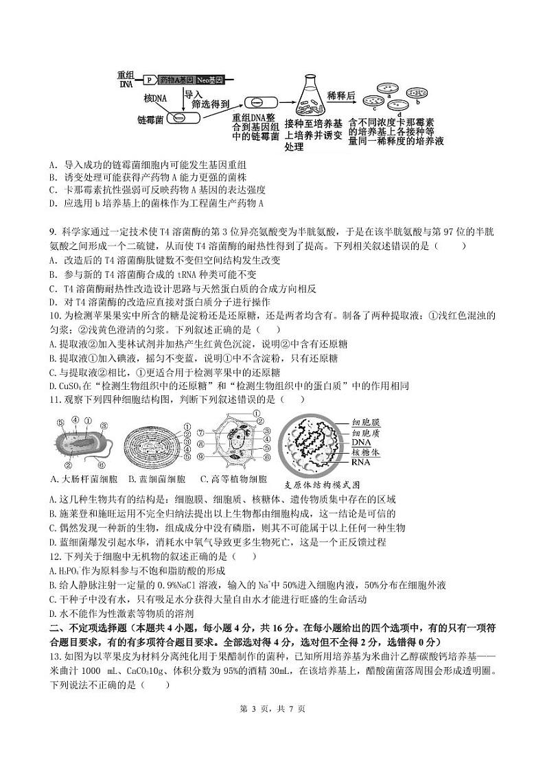湖南省雅礼中学2023-2024学年高二下学期5月月考生物试题第3页
