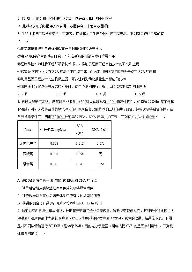 湖北省武汉市第十一中学2023-2024学年高二下学期6月考试生物试卷无答案第3页