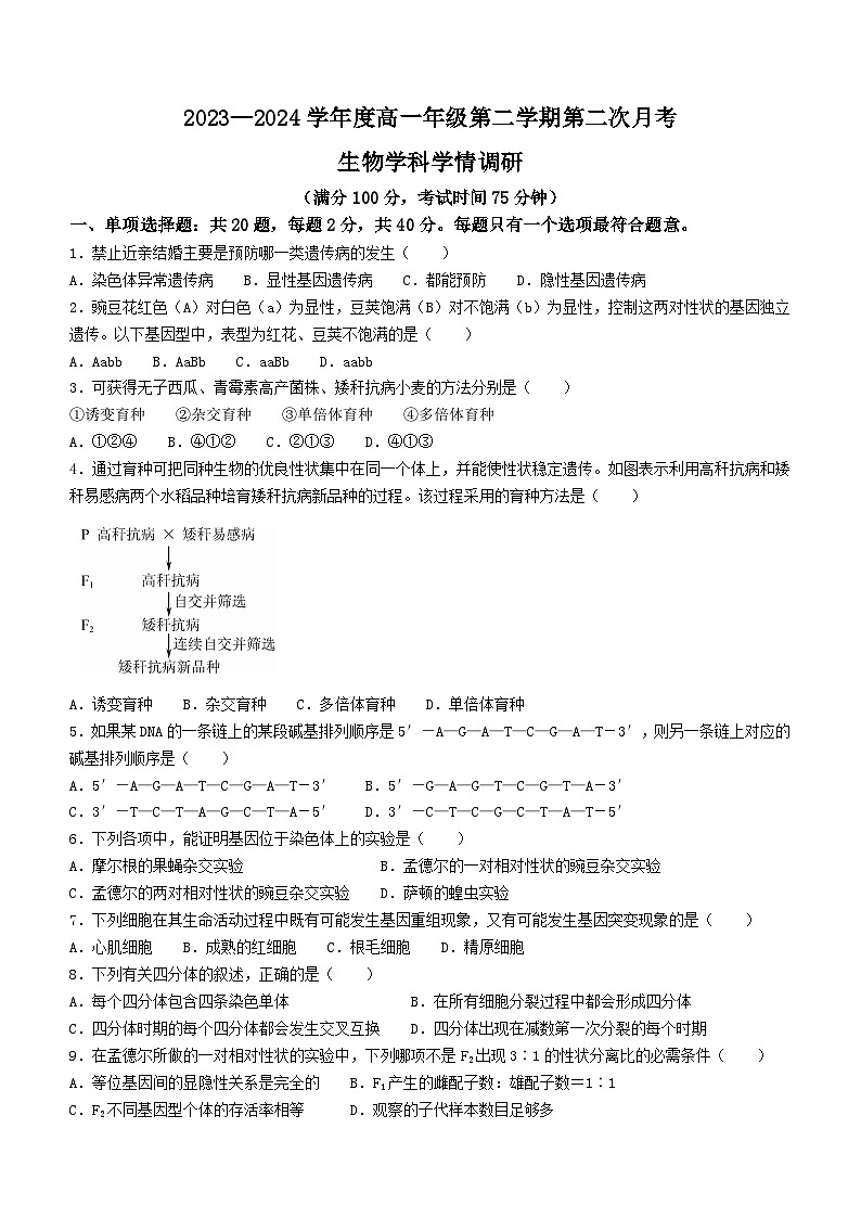 江苏省宿迁市泗阳县两校联考2023-2024学年高一下学期5月月考生物试题第1页