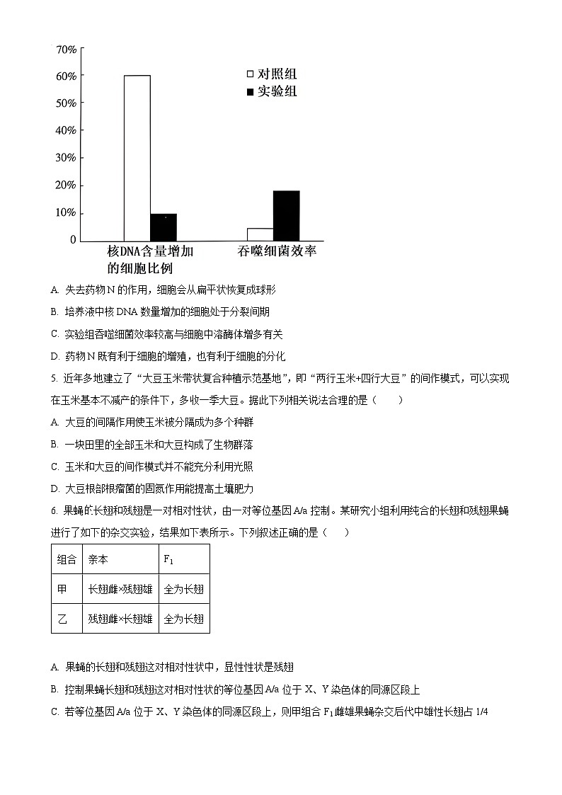 四川省成都市第七中学(林荫校区)2024届高三下学期热身考试生物试题(Word版附解析)02