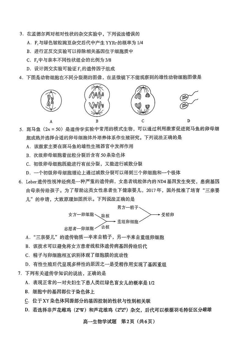 贵州省遵义市汇川区遵义市第四中学2023-2024学年高一下学期6月月考生物试题02
