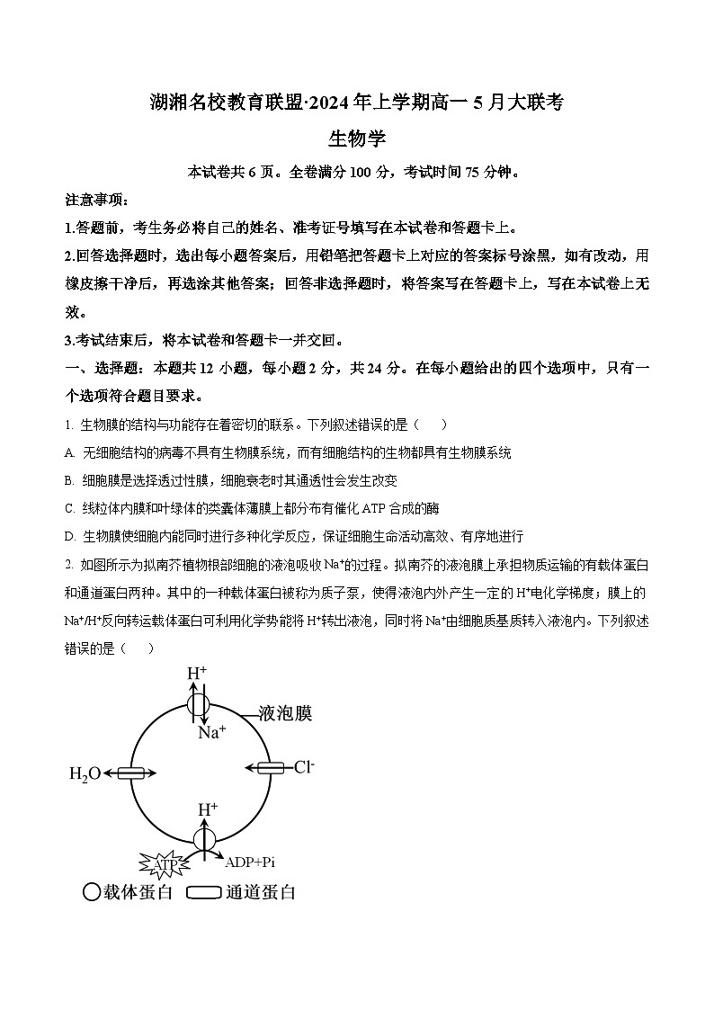 2024届湖湘名校教育联盟高一下学期5月大联考生物 Word版无答案第1页