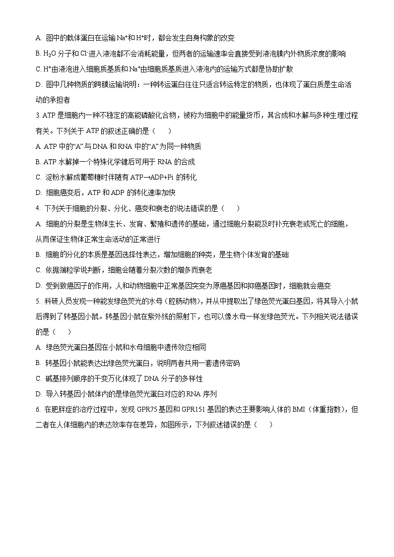 2024届湖湘名校教育联盟高一下学期5月大联考生物 Word版无答案第2页