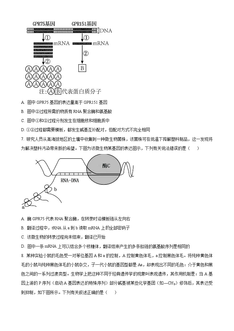 2024届湖湘名校教育联盟高一下学期5月大联考生物 Word版无答案第3页