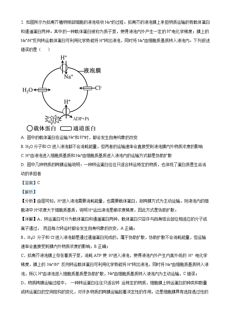 2024届湖湘名校教育联盟高一下学期5月大联考生物 Word版含解析第2页