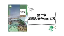 2.1 减数分裂（精子的形成过程）课件+教学设计-2022-2023学年高一下学期生物人教版（2019）必修2