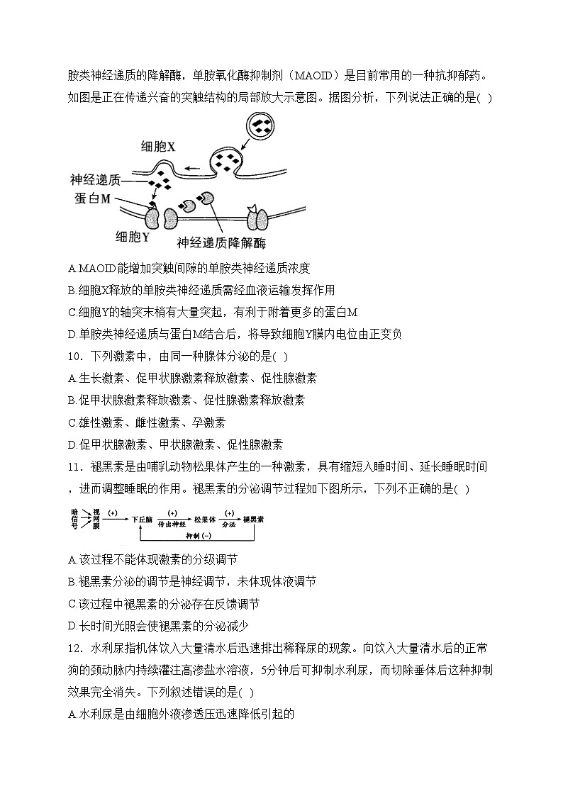 安徽省合肥市六校联盟2023-2024学年高二上学期1月期末考试生物试卷(含答案)第3页