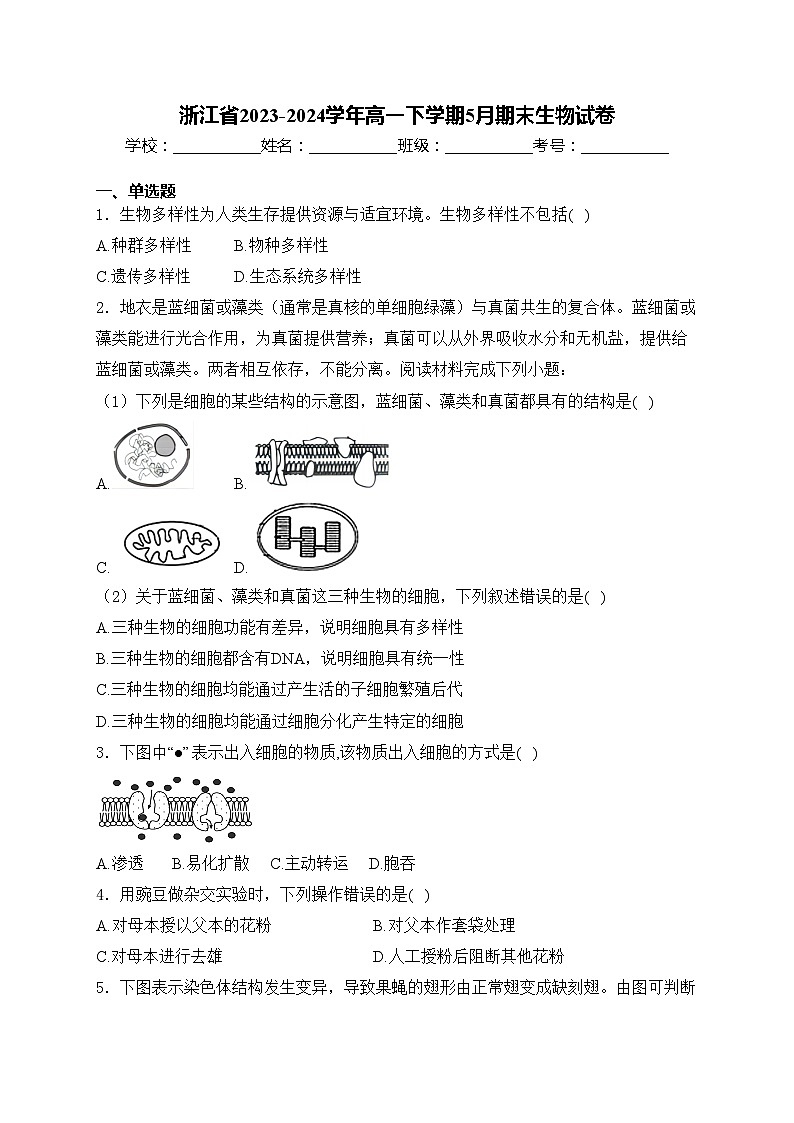 浙江省2023-2024学年高一下学期5月期末生物试卷(含答案)第1页