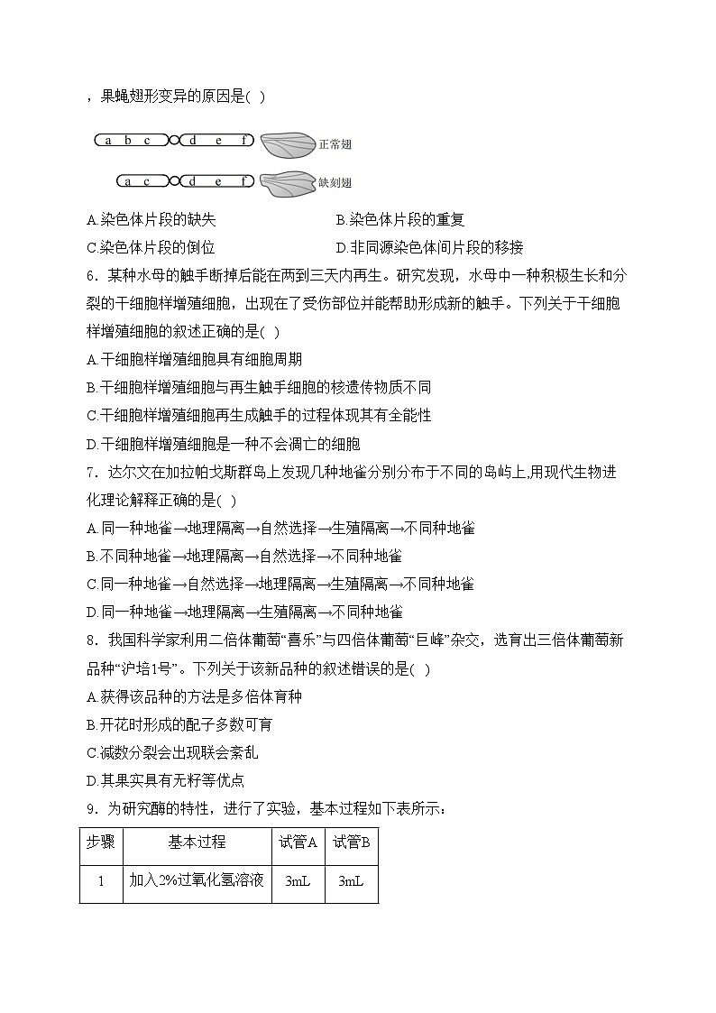 浙江省2023-2024学年高一下学期5月期末生物试卷(含答案)第2页