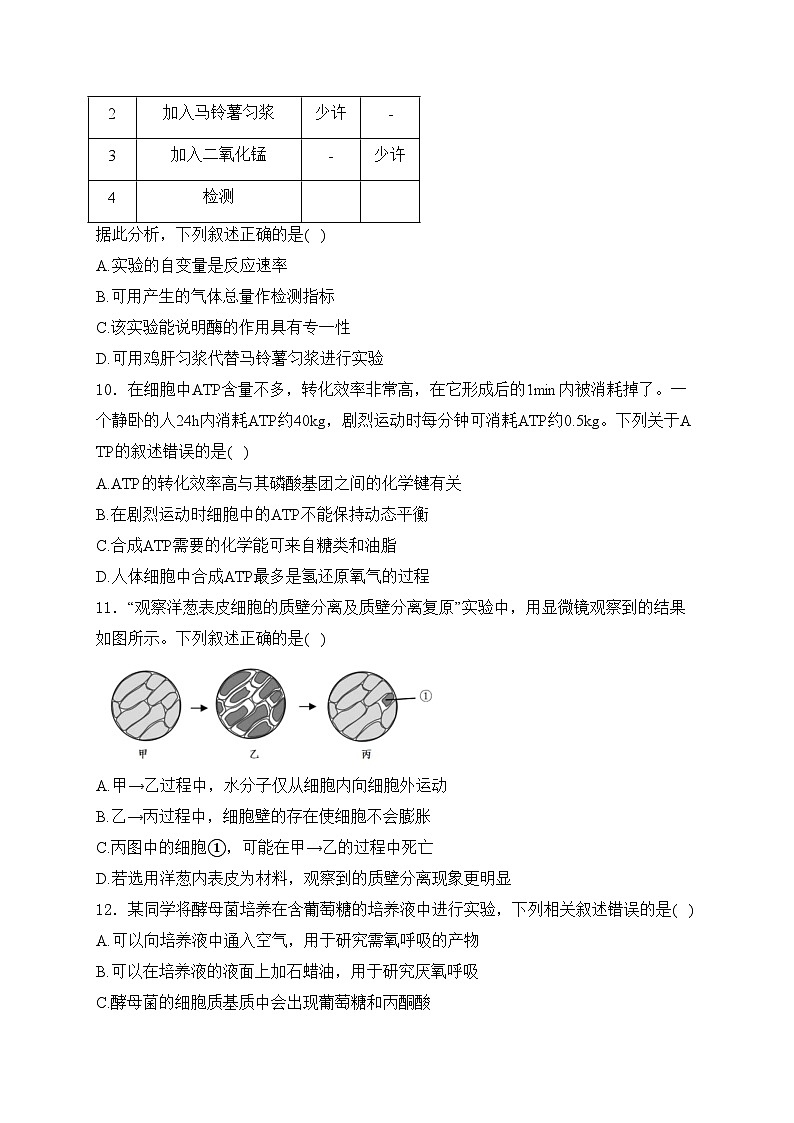 浙江省2023-2024学年高一下学期5月期末生物试卷(含答案)第3页