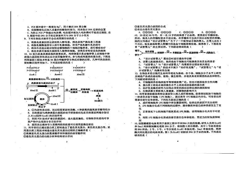 黑龙江省鸡西市鸡冠区鸡西实验中学2023-2024学年高二下学期期中生物试题第2页