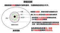 2024届高三生物一轮复习课件：第二单元　第4课时 水进出细胞的原理
