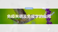 2025届高三一轮复习生物:免疫失调及免疫学的应用课件