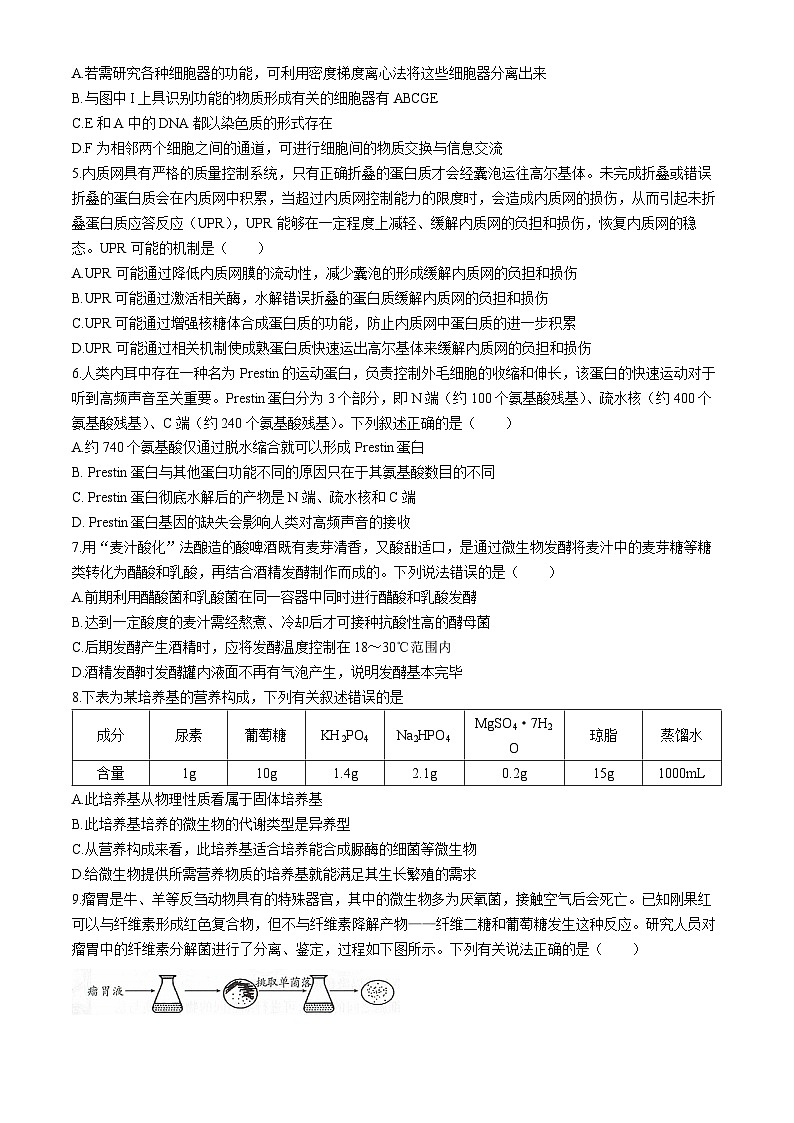 2024辽宁省部分学校高二下学期6月阶段考试生物含答案第2页