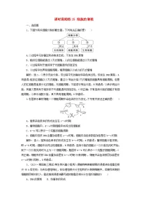 2025届高考生物一轮总复习课时跟踪练15细胞的增殖