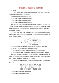 2025届高考生物一轮总复习课时跟踪练18细胞的分化衰老和死亡