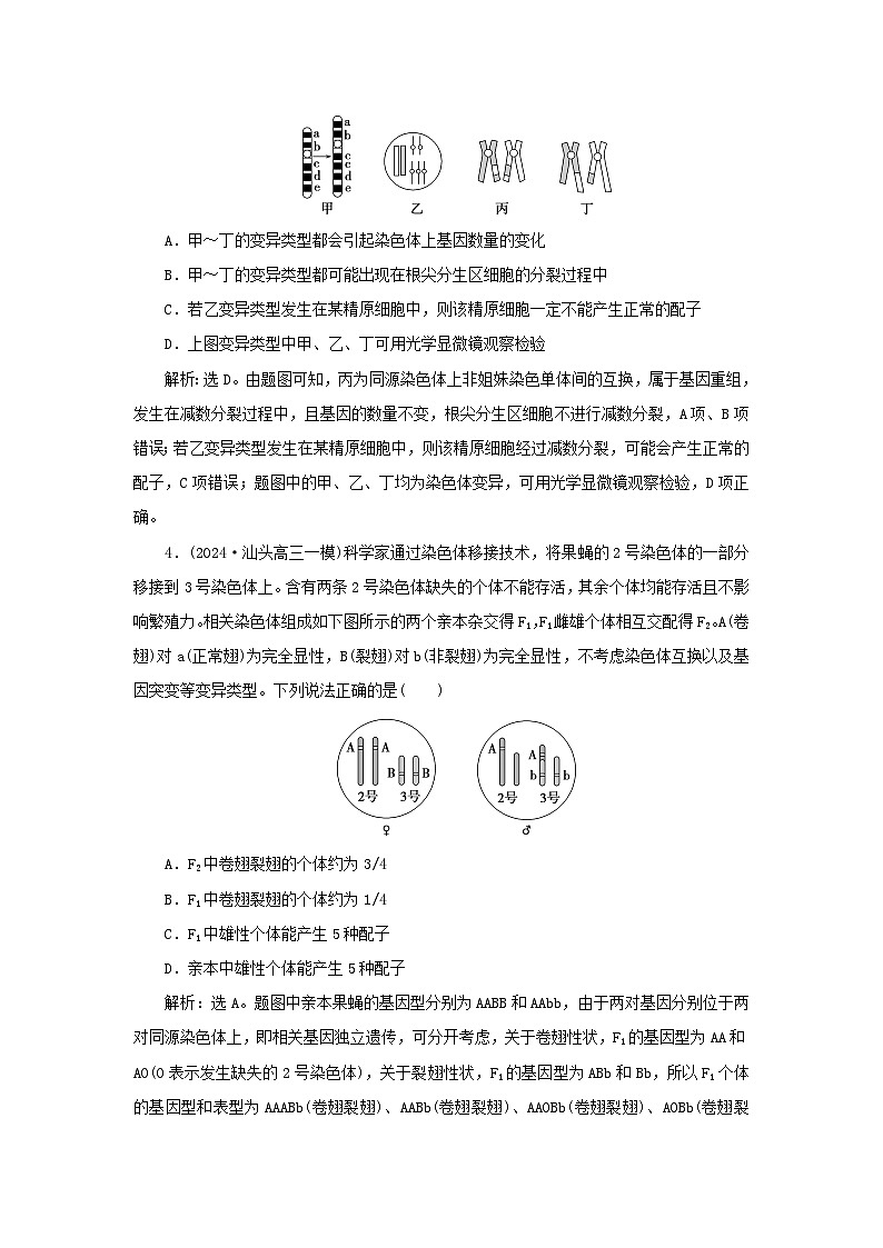 2025届高考生物一轮总复习课时跟踪练31染色体变异第2页